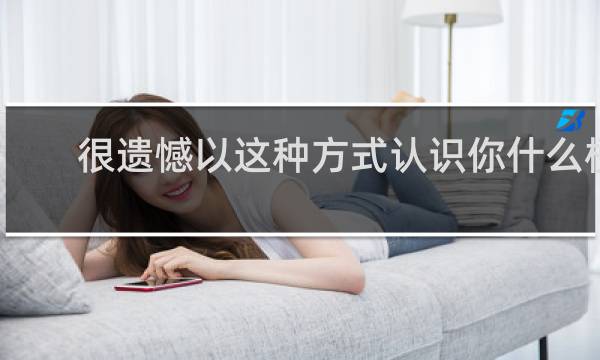 很遗憾以这种方式认识你什么梗