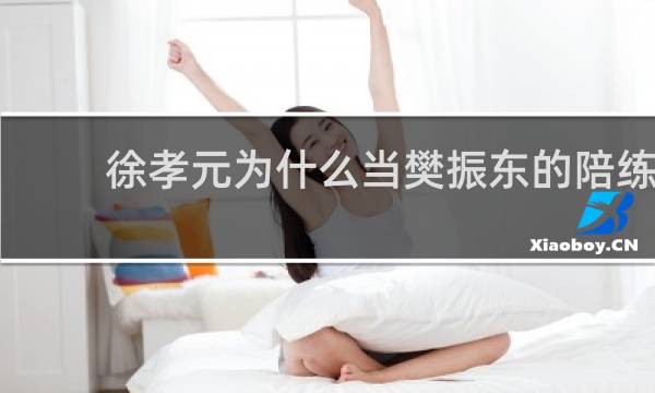 徐孝元为什么当樊振东的陪练