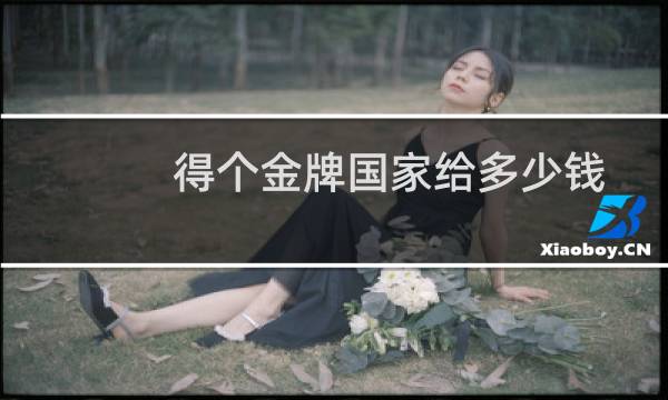 得个金牌国家给多少钱