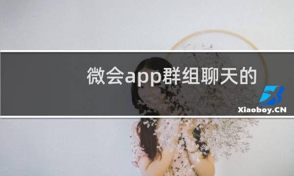 微会app群组聊天的时候怎么@好友?