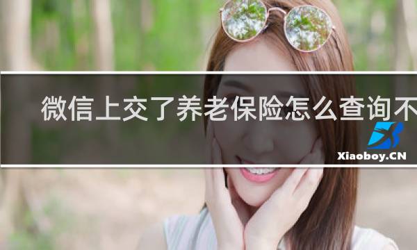 微信上交了养老保险怎么查询不到