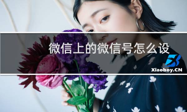 微信上的微信号怎么设置？