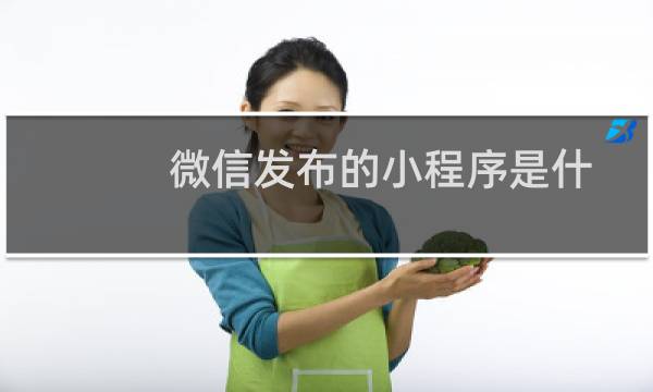 微信发布的小程序是什么?2张图让你看明白