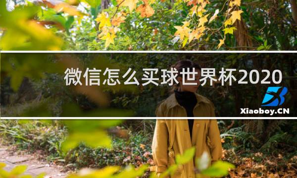 微信怎么买球世界杯2020