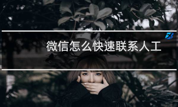 微信怎么快速联系人工客服