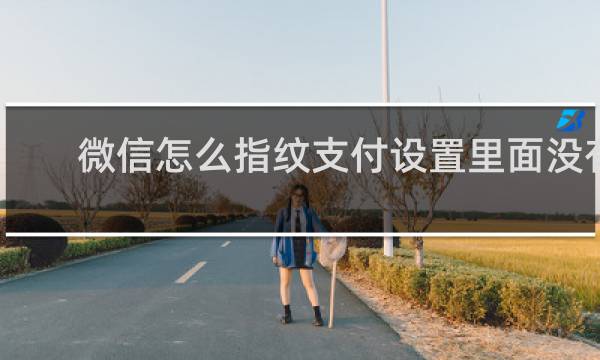 微信怎么指纹支付设置里面没有