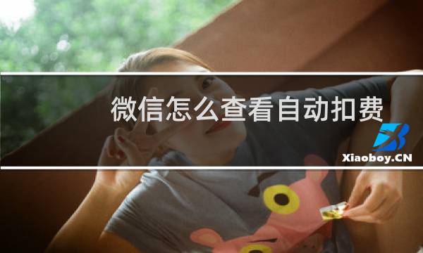微信怎么查看自动扣费项目（微信里面怎么关闭自动扣费）