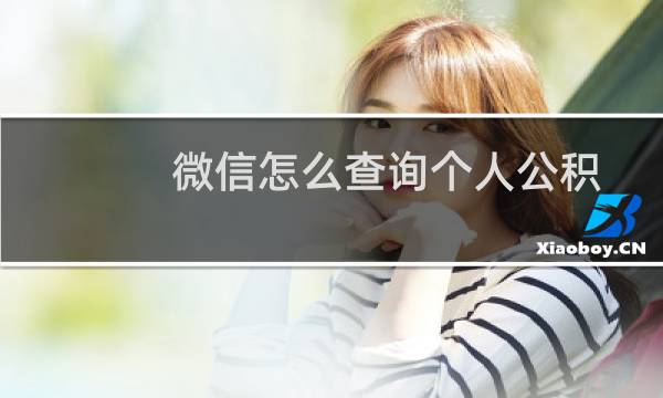 微信怎么查询个人公积金账户余额