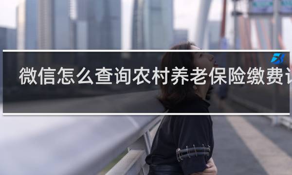 微信怎么查询农村养老保险缴费记录