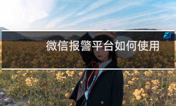 微信报警平台如何使用（手机网上报警怎么报）