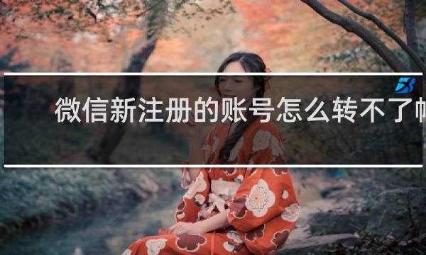 微信新注册的账号怎么转不了帐