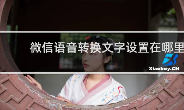 微信语音转换文字设置在哪里