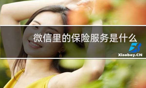 微信里的保险服务是什么