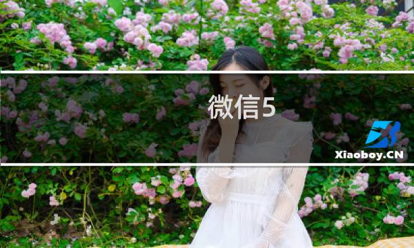 微信5.0中八个超好用的秘密功能