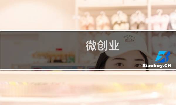 微创业