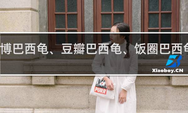 微博巴西龟、豆瓣巴西龟、饭圈巴西龟什么梗