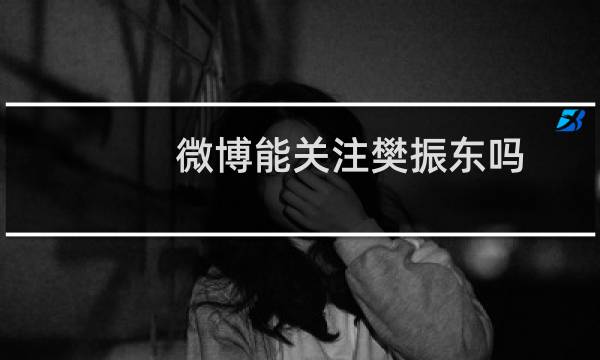 微博能关注樊振东吗