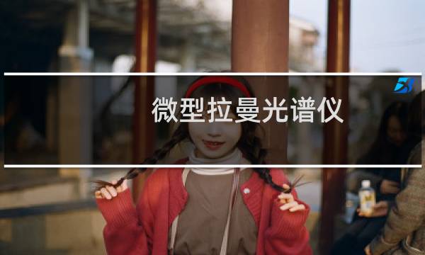 微型拉曼光谱仪