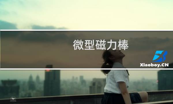 微型磁力棒