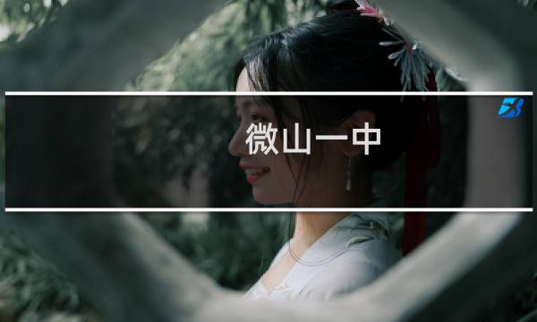 微山一中
