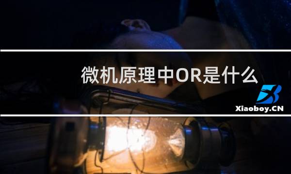 微机原理中OR是什么意思（OR运算是什么）