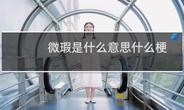 微瑕是什么意思什么梗