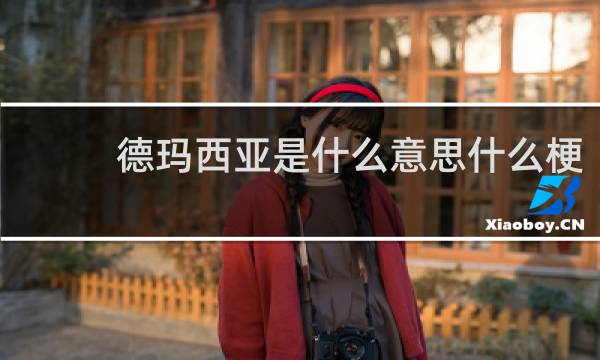 德玛西亚是什么意思什么梗