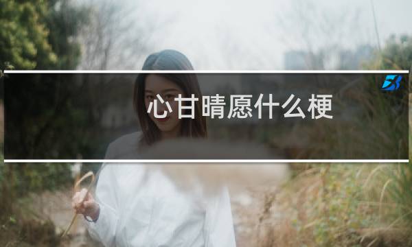 心甘晴愿什么梗
