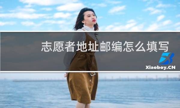 志愿者地址邮编怎么填写