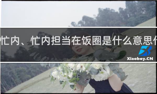 忙内、忙内担当在饭圈是什么意思什么梗