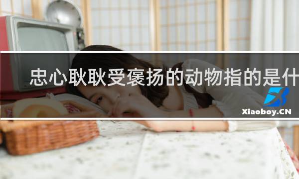 忠心耿耿受褒扬的动物指的是什么