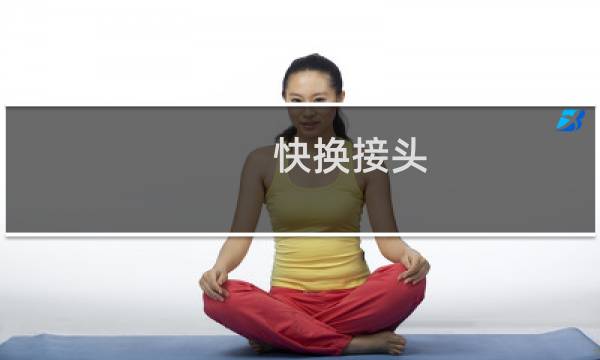 快换接头
