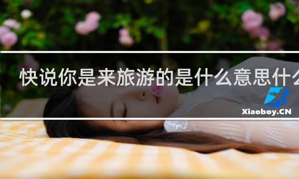 快说你是来旅游的是什么意思什么梗