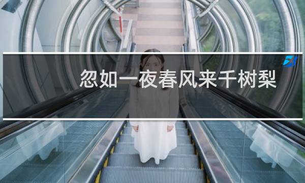 忽如一夜春风来千树梨花开的意思(云裳衣裳花想容春风拂槛露华浓的意思)