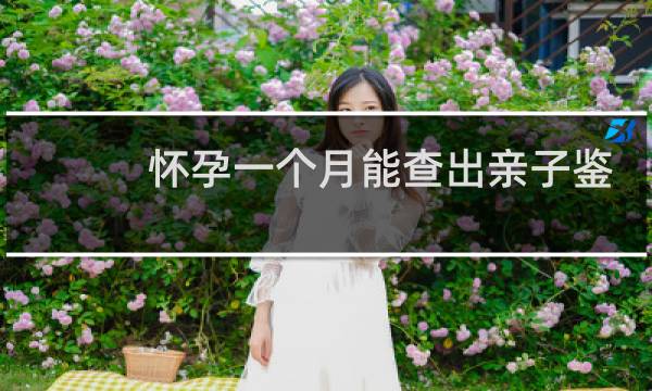 怀孕一个月能查出亲子鉴定吗