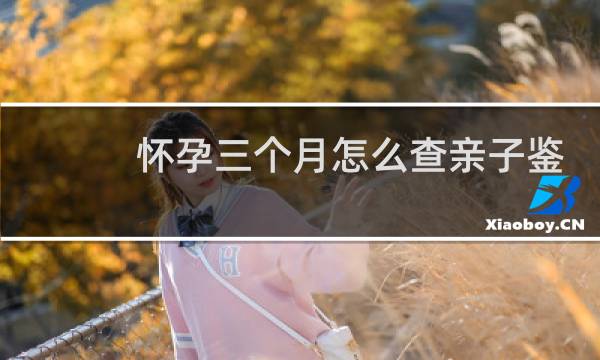 怀孕三个月怎么查亲子鉴定