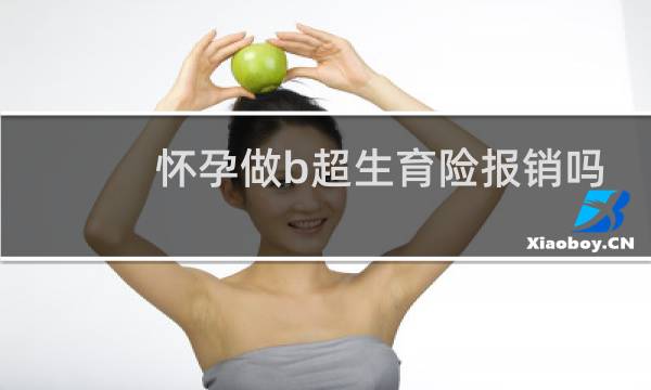 怀孕做b超生育险报销吗