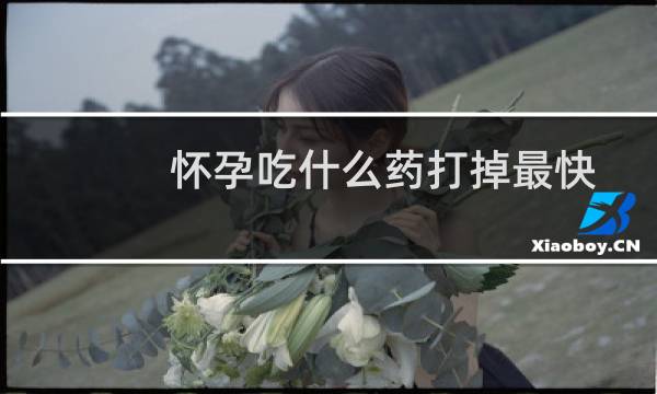 怀孕吃什么药打掉最快
