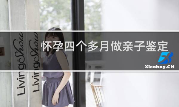 怀孕四个多月做亲子鉴定多少钱