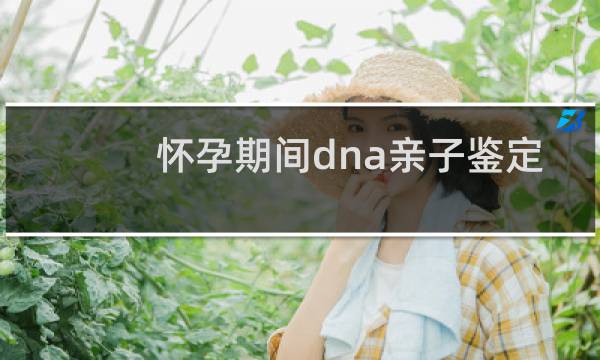 怀孕期间dna亲子鉴定要多少钱图片