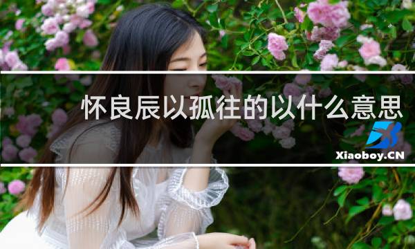 怀良辰以孤往的以什么意思
