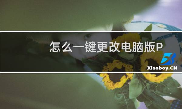 怎么一键更改电脑版PR中视频的颜色