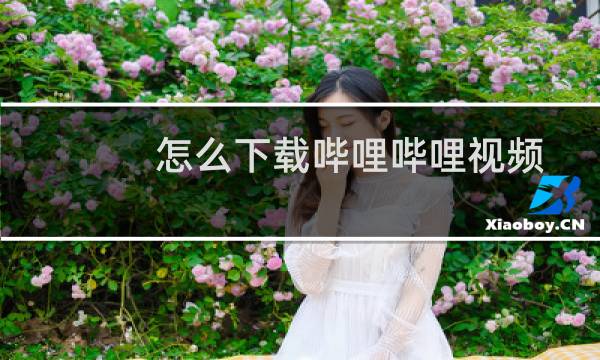 怎么下载哔哩哔哩视频?b站视频怎么下载?