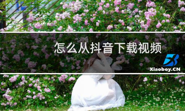怎么从抖音下载视频