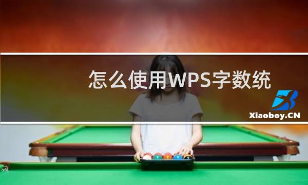 怎么使用WPS字数统计功能