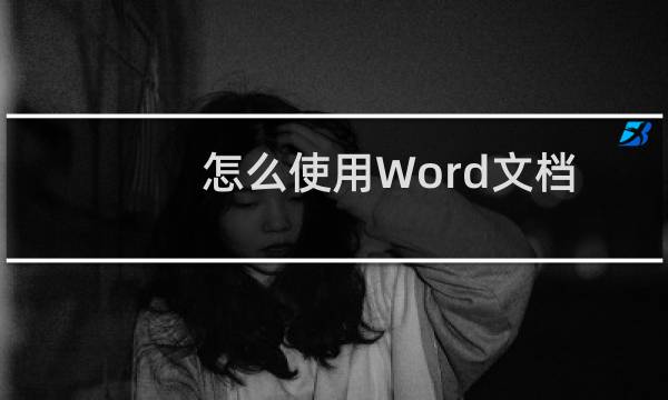 怎么使用Word文档中的重置图片功能