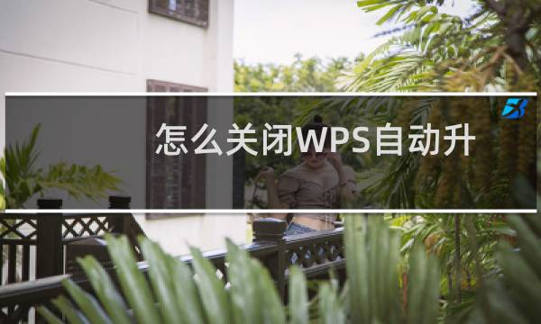 怎么关闭WPS自动升级