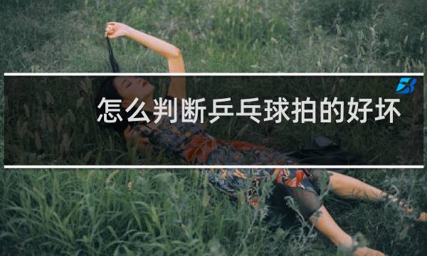 怎么判断乒乓球拍的好坏