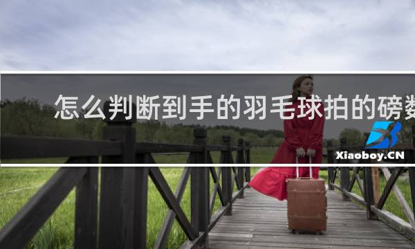 怎么判断到手的羽毛球拍的磅数