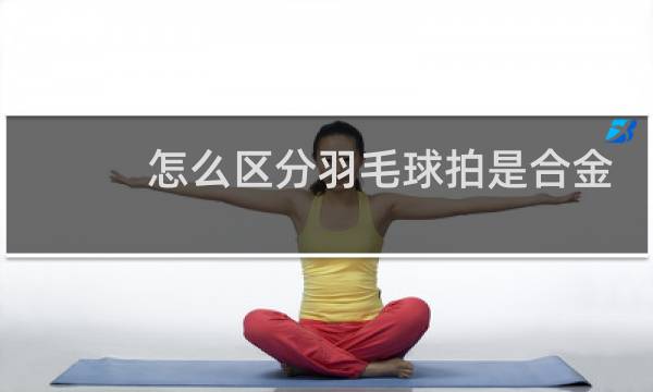 怎么区分羽毛球拍是合金